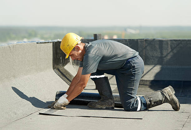 Best Attic Insulation Installation  in Hayden, ID